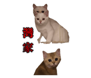 824126065