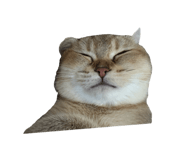 824126074