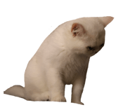 824126075