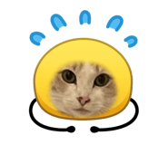 824128220