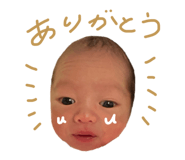 824132067