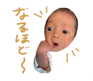 824133080