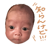 824133081