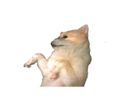 824133889