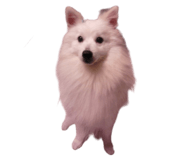 824133893