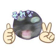 824192516