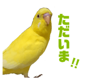 824193275