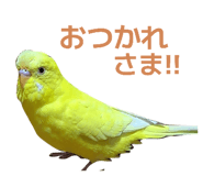 824193277