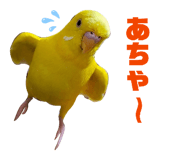 824193278