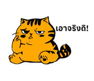 824196280