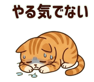 824206600