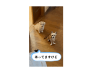 824208404