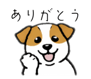 824251220