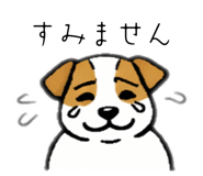 824251223