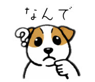 824251231