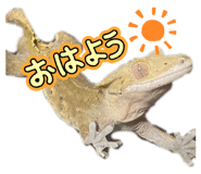824253361