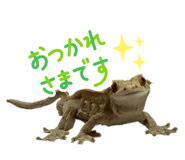 824253364