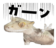 824253367