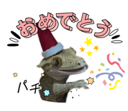 824253371