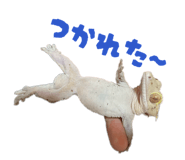824253373