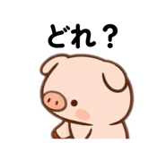 824255004