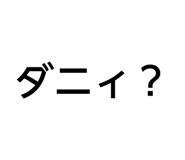 824255037