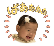 824262562