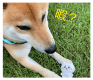 824266150