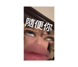 824266618