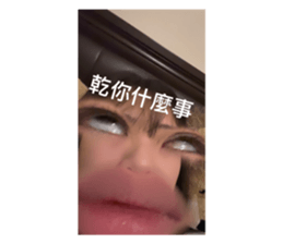824266620