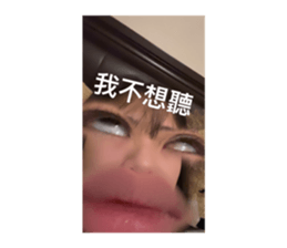 824266622