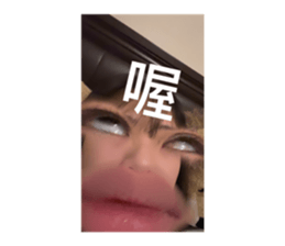 824266624