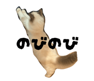 824283833