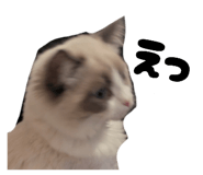 824283834