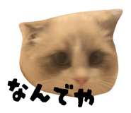 824283837
