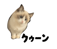 824283838