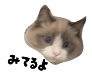 824283842