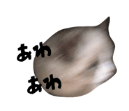 824283844