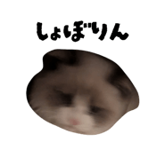 824283845