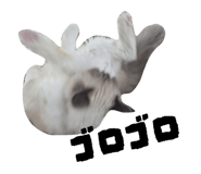 824283847