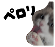 824283848