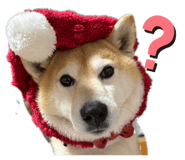 824298280