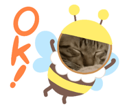 824317054