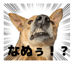 824327076