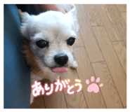 824327320