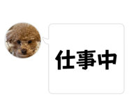 824333276