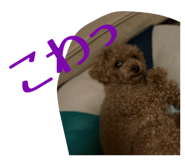 824333285