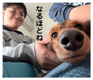824335354