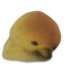 ลายที่ 5