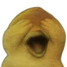 ลายที่ 13